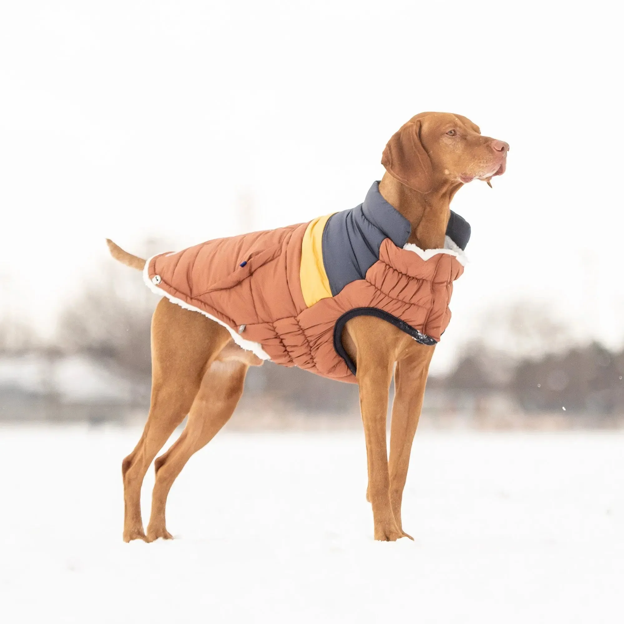 Retro Dog Puffer | Hazel