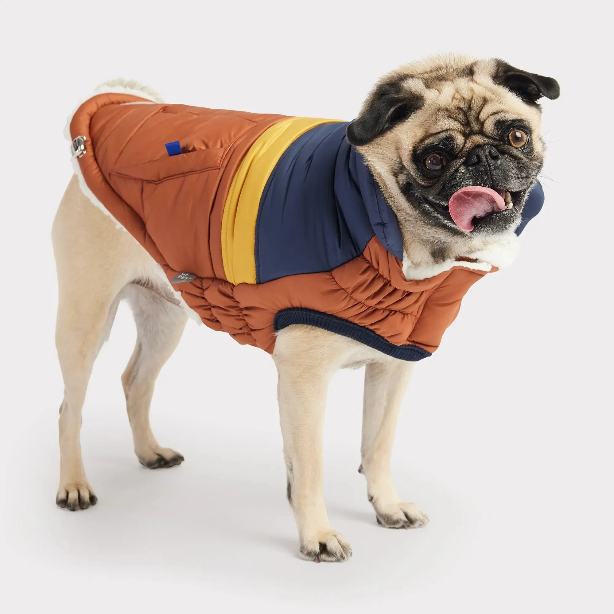 Retro Dog Puffer | Hazel