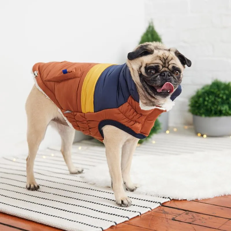 Retro Puffer Dog Coat - Hazel